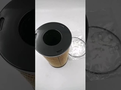 CH10930 Filtre à carburant avec anneau O pour pièces du moteur