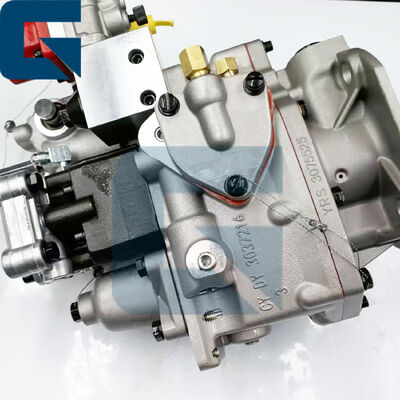 3021961 Fuel Injection Pump for Engine K10 KTA19 Diesel Pump